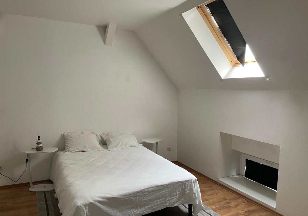 Le Wolf - 1 Chambre Dans Un T3 - 5Mn Tram Du Centre Ville - 15Mn Tram Gare Tgv Mulhouse - Wifi - Parking Exterior photo